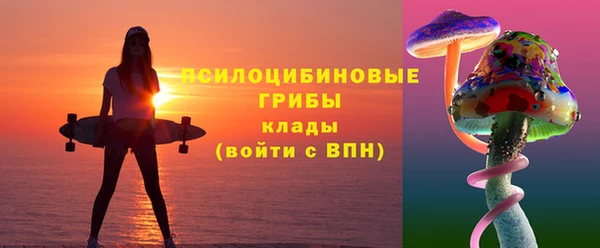 a pvp Вяземский