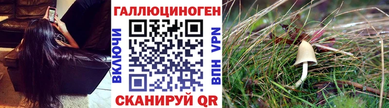 Псилоцибиновые грибы Psilocybe  блэк спрут онион  Балаково 
